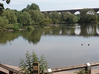 Manchester and Salford Ramblers